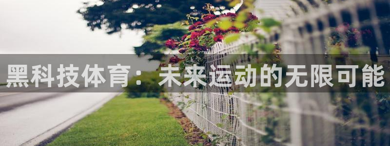 oety欧亿：黑科技体育：未来运动的无限可能