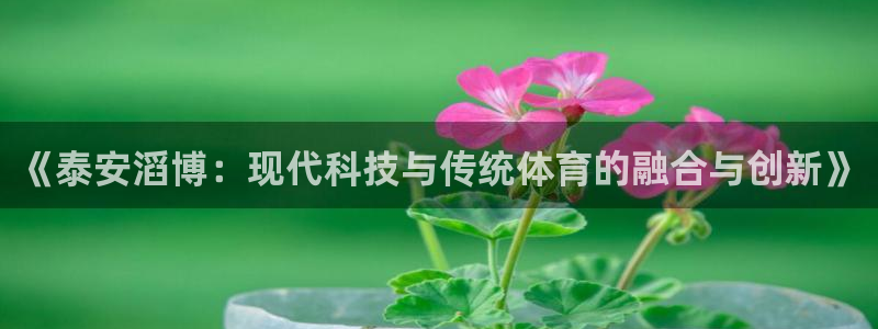 oety欧亿：《泰安滔博：现代科技与传统体育的融合与创新》