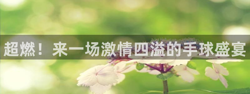 oety欧亿：超燃！来一场激情四溢的手球盛宴