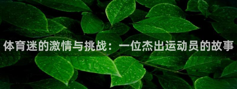 oety欧亿：体育迷的激情与挑战：一位杰出运动员的故事