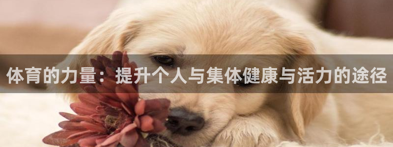 oety欧亿：体育的力量：提升个人与集体健康与活力的途径