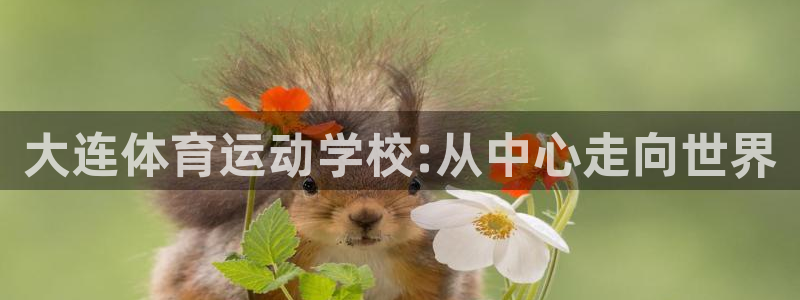 oety欧亿：大连体育运动学校:从中心走向世界