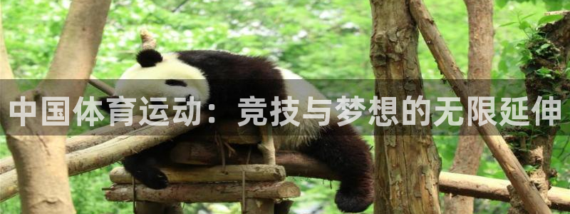 oety欧亿：中国体育运动：竞技与梦想的无限延伸