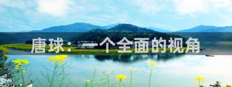 oety欧亿：唐球：一个全面的视角
