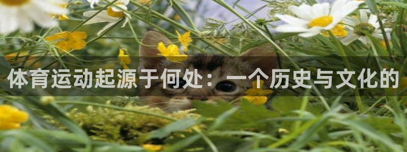 oety欧亿
